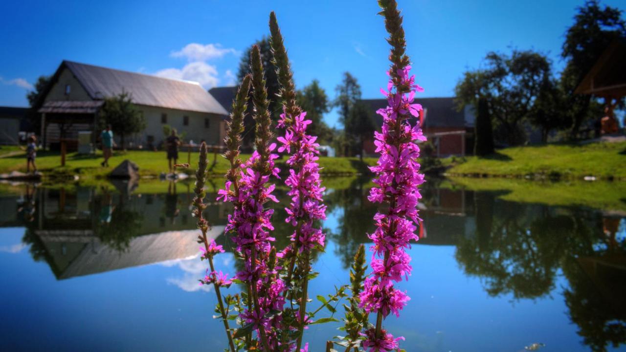 Glamping Vrhovc Hotel Zelezniki Exterior photo